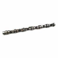 Dodge Performance Camshaft For 1998.5-2002 5.9L Cummins Stage 1 Industrial Injection