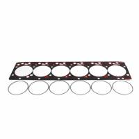 Dodge Fire Ring Gasket Kit for 1998.5-2002 5.9L Cummins Industrial Injection